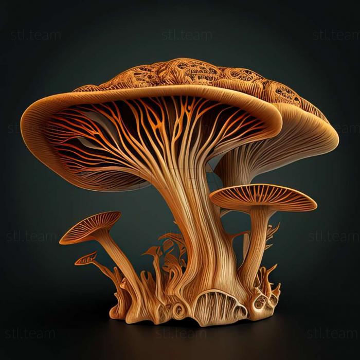 Gymnopholus fungifer